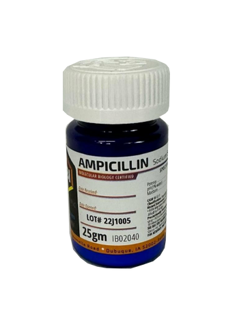 Ampicillin Sodium Salt